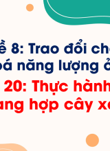 Bài 20. Thực hành về quang hợp ở cây xanh